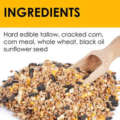 Show full view: Heath Outdoor Products Woodpecker Suet Cake Wild Bird Food, 10-oz, 16 count slide 3 of 4