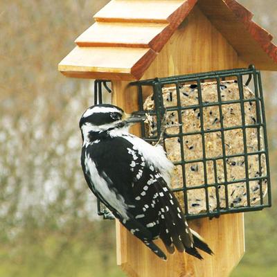 Show full view: Heath Peanutty Raisin Premium Suet Cake Wild Bird Food, 11.5-oz, case of 12 slide 4 of 9