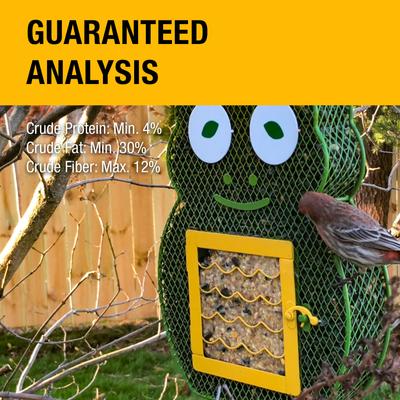 Show full view: Heath Suet 'N Seed Whimsical Frog Suet Cake Bird Feeder slide 3 of 3