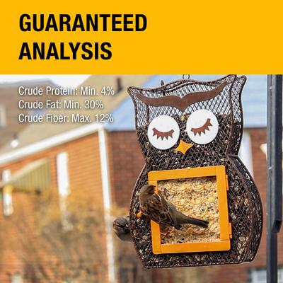 Show full view: Heath Suet 'N Seed Whimsical Owl Suet Cake Bird Feeder slide 3 of 4