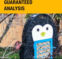 Heath Suet 'N Seed Whimsical Penguin Suet Cake Bird Feeder slide 2 of 3