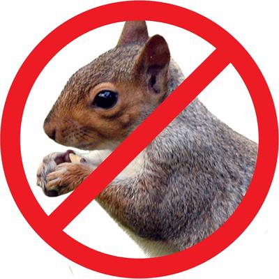 Show full view: Heath Universal Squirrel Baffle slide 3 of 6