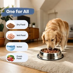 Heeyoo Dishwasher Safe Stainless Steel Dog Bowl, 4.5-cup slide 2 of 9