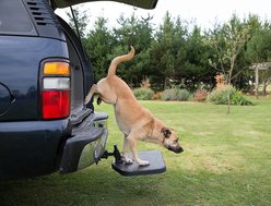 Heininger PortablePET SUV Twistep Dog Hitch Step slide 2 of 9