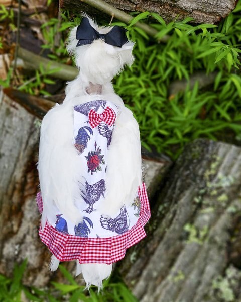 Hen Couture Chickens & Roses Hen Saddle