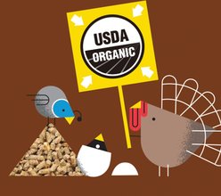 Hen Up All Flock Blend Organic Non-GMO 20% Protein Chicken Feed, 25-lb bag slide 2 of 4