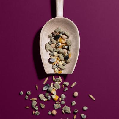 Show full view: Hen Up Layer Mash Organic Non-GMO 16% Protein Chicken Feed, 10-lb bag slide 4 of 7