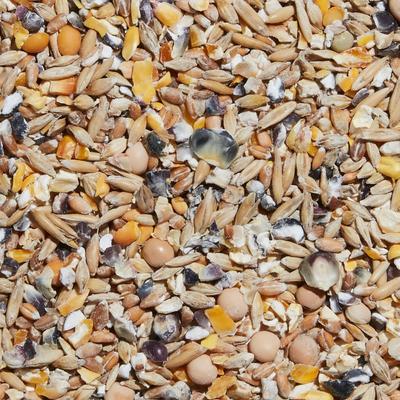 Show full view: Hen Up Scratch Grains Organic Non-GMO 10% Protein Chicken Feed, 10-lb bag slide 3 of 7