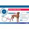 Show in main carousel: Herm Sprenger Fur Saver Training Dog Chain Slip Collar, 25-in neck, 4.0-mm wide slide 3 of 3