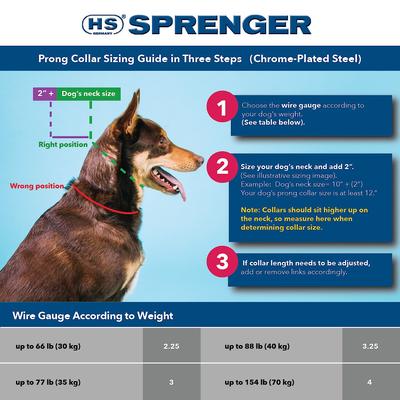 Show full view: Herm Sprenger Ultra-Plus Training Dog Prong Collar with Latch, 20-in neck, 3.25-mm wide slide 2 of 8