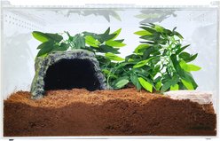 HerpCult Acrylic Clear-Top Reptile Habitat, 8.3-gal slide 2 of 6