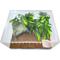 Show in main carousel: HerpCult Acrylic Clear-Top Reptile Habitat, 8.3-gal slide 3 of 7