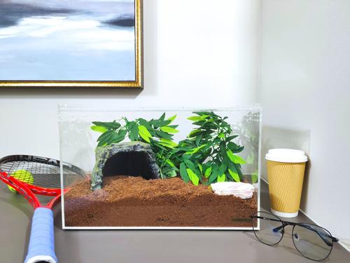 Show full view: HerpCult Acrylic Clear-Top Reptile Habitat, 8.3-gal slide 5 of 7