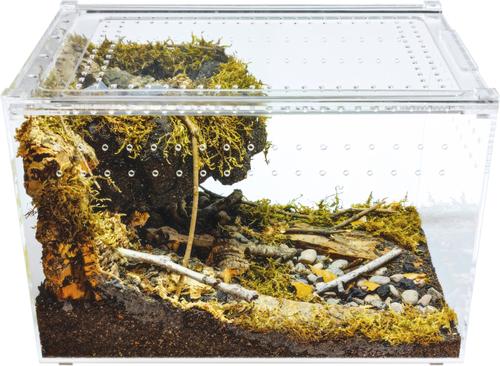 Show full view: HerpCult Acrylic Enclosure Large Reptile Terranium, Clear, 3.3-gal slide 2 of 10