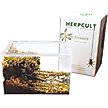 Show in main carousel: HerpCult Acrylic Enclosure Large Reptile Terranium, Clear, 3.3-gal slide 9 of 10