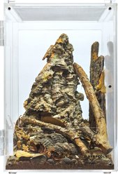 HerpCult Acrylic Front-Opening Reptile Enclosure, 3.3-gal