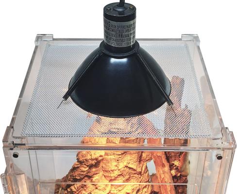 Show full view: HerpCult Acrylic Front-Opening Reptile Enclosure, 3.3-gal slide 3 of 8