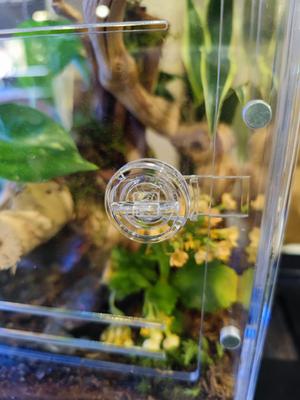 Show full view: HerpCult Acrylic Front-Opening Reptile Enclosure, 3.3-gal slide 7 of 8