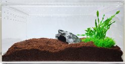 HerpCult Acrylic Insect & Reptile Terrarium, Clear Top, Large