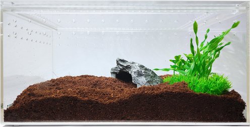 PLASTIC REPTILE TERRARIUMS & HABITATS (Free Shipping) | Chewy
