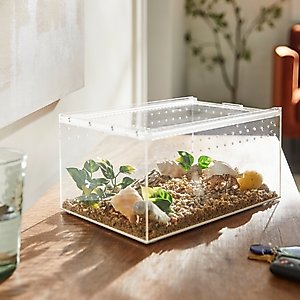 HerpCult Acrylic Insect & Reptile Terrarium, Clear Top, Large