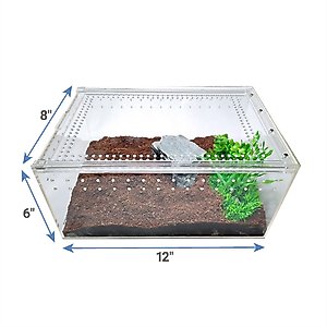 HerpCult Acrylic Insect & Reptile Terrarium, Clear Top, Large
