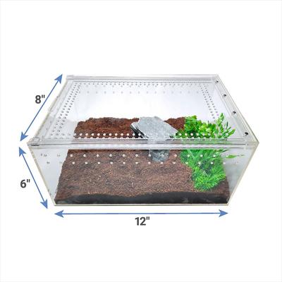 Show full view: HerpCult Acrylic Insect & Reptile Terrarium, Clear Top, Large slide 3 of 9