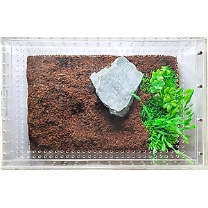 HerpCult Acrylic Insect & Reptile Terrarium, Clear Top, Large