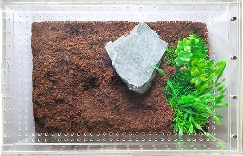 Show full view: HerpCult Acrylic Insect & Reptile Terrarium, Clear Top, Large slide 4 of 9