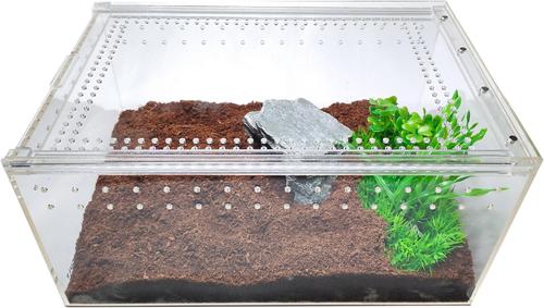 Show full view: HerpCult Acrylic Insect & Reptile Terrarium, Clear Top, Large slide 5 of 9