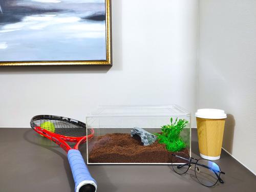 Show full view: HerpCult Acrylic Insect & Reptile Terrarium, Clear Top, Large slide 8 of 9