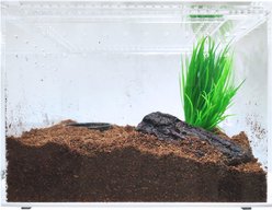 HerpCult Acrylic Insect & Reptile Terrarium, Clear Top, Medium slide 1 of 7