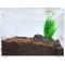Show in main carousel: HerpCult Acrylic Insect & Reptile Terrarium, Clear Top, Medium slide 1 of 8