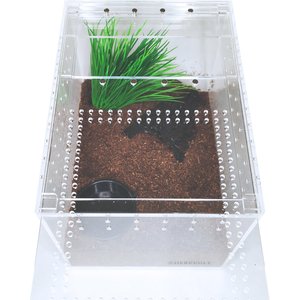 HerpCult Acrylic Insect & Reptile Terrarium, Clear Top, Medium