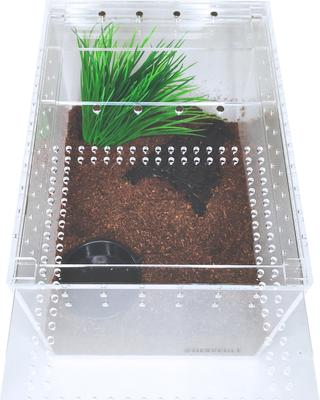Show full view: HerpCult Acrylic Insect & Reptile Terrarium, Clear Top, Medium slide 5 of 8