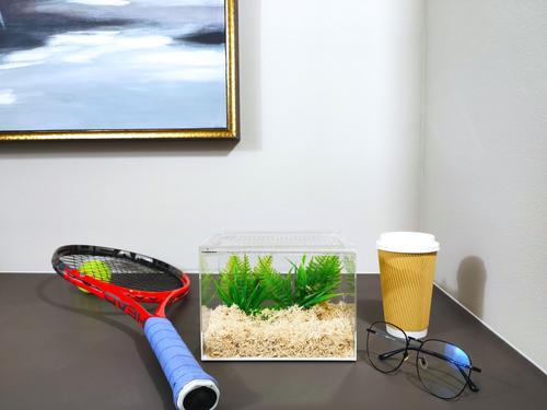 Show full view: HerpCult Acrylic Insect & Reptile Terrarium, Clear Top, Medium slide 7 of 8