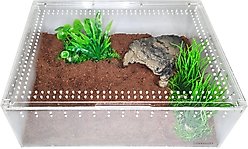 HerpCult Acrylic Insect & Reptile Terrarium, Clear Top, X-Large