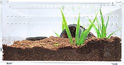 HerpCult Acrylic Insect & Reptile Terrarium, Opaque Top, Small slide 1 of 6