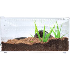 HerpCult Acrylic Insect & Reptile Terrarium, Opaque Top, Small