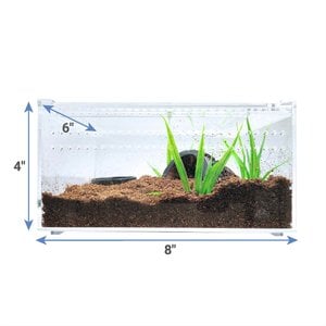 HerpCult Acrylic Insect & Reptile Terrarium, Opaque Top, Small