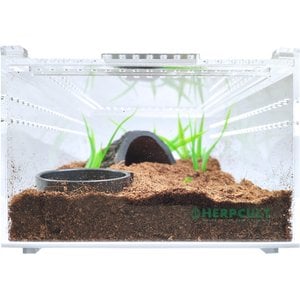 HerpCult Acrylic Insect & Reptile Terrarium, Opaque Top, Small