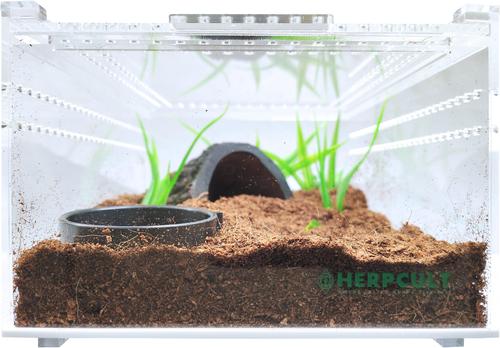 Show full view: HerpCult Acrylic Insect & Reptile Terrarium, Opaque Top, Small slide 3 of 7