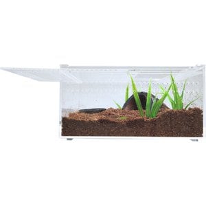HerpCult Acrylic Insect & Reptile Terrarium, Opaque Top, Small