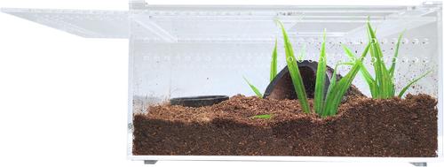 Show full view: HerpCult Acrylic Insect & Reptile Terrarium, Opaque Top, Small slide 4 of 7