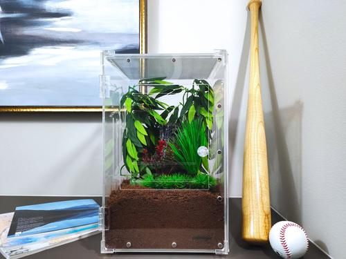 Show full view: HerpCult Two-Way Acrylic Insect & Reptile Terrarium, Large slide 3 of 5