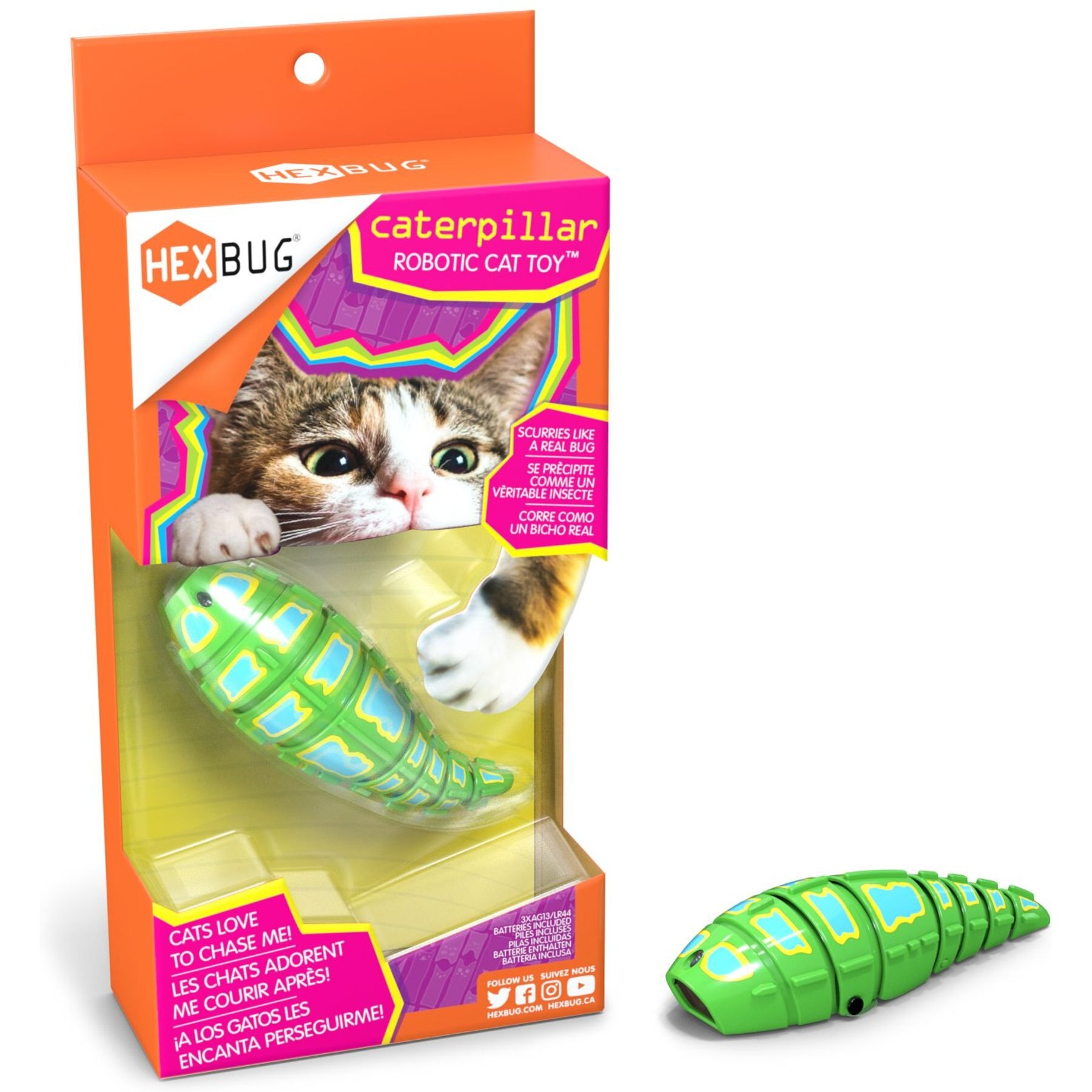 How Much is a Hexbug Cat Toy: Ultimate Price Guide 2025