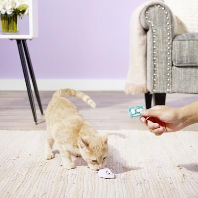 Show full view: Hexbug Remote Control Mouse Cat Toy, Color Varies slide 4 of 8