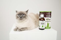 heyLove Natural Detox Dietary Cat Supplement, 8.45-fl oz bottle slide 2 of 3