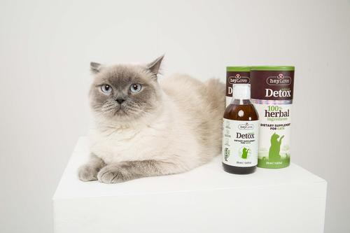 Show full view: heyLove Natural Detox Dietary Cat Supplement, 8.45-fl oz bottle slide 3 of 6