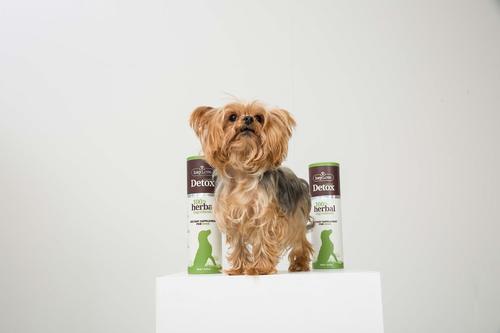 Show full view: heyLove Natural Detox Dietary Dog Supplement, 16.23-fl oz bottle slide 3 of 5